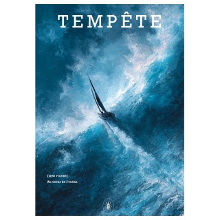 Affiche Tempête - dématérialisée